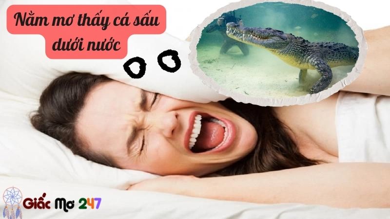 Nằm mơ thấy cá sấu dưới nước
